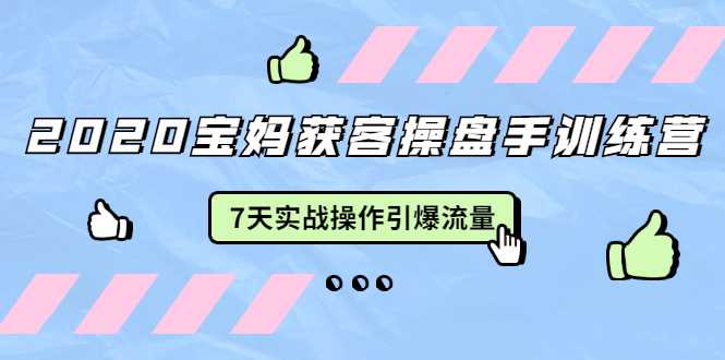 2020宝妈获客操盘手训练营：7天实战操作引爆 母婴、都市、购物宝妈流量-冒泡网