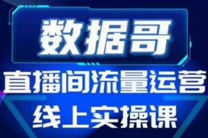 数据哥《直播间流量运营线上实操培训课程》不能错过的一套系统课教程-冒泡网