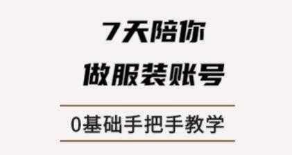 锤石传媒张智诚7天陪你做服装账号，0基础手把手教学课程视频-冒泡网