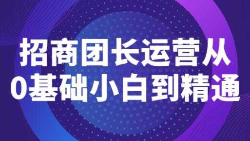 《招商团长运营》从0基础小白到精通-冒泡网