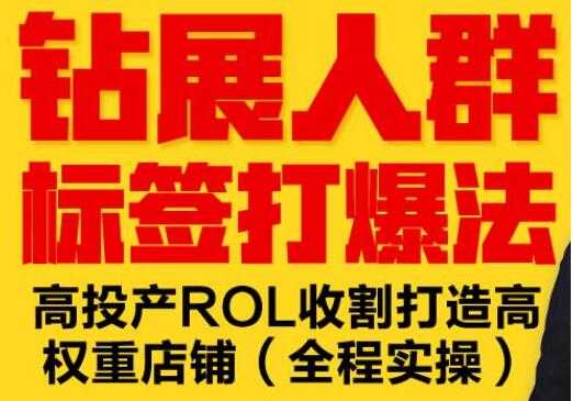 逐鹿《淘宝钻展人群标签打爆法》高投产ROL收割打造高权重店铺(全程实操)-冒泡网