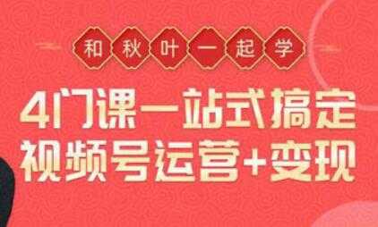 一站式搞定视频号运营变现，从0到1学视频号运营实操培训课程视频-冒泡网