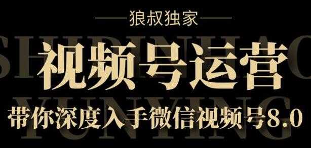 微信视频号运营实战8.0，带你深度入手微信视频号-冒泡网