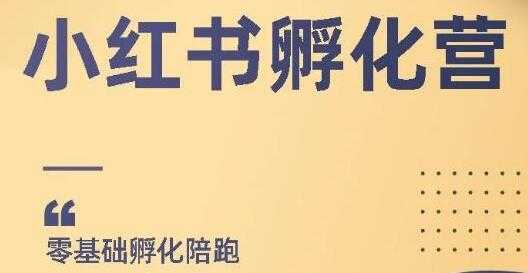 小红书撸金项目，教你如何快速起号获得曝光，做到月躺赚在3000+-冒泡网