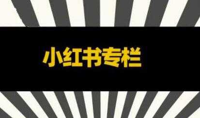 品牌医生《小红书全链营销干货》5个起盘案例，营销策略规划，避坑指南-冒泡网