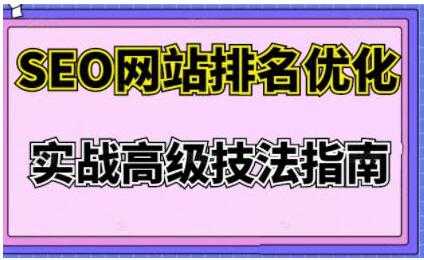 樊天华《SEO网站排名优化》实战高级技法指南-冒泡网