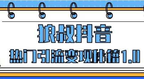 狼叔抖音培训课程，抖音热门引流变现秘籍1.0-冒泡网