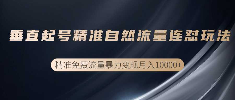 垂直起号精准自然流量连爆玩法，精准引流暴力变现月入10000+-冒泡网