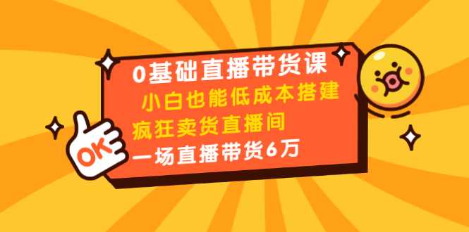 0基础直播带货课：小白也能低成本搭建疯狂卖货直播间：1场直播带货6万-冒泡网