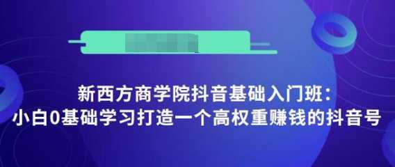 抖音基础入门班：小白0基础学习打造一个高权重赚钱的抖音号-冒泡网