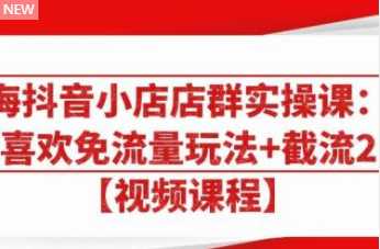 大海抖音小店店群实操课：猜你喜欢免流量玩法+截流 2.0-冒泡网