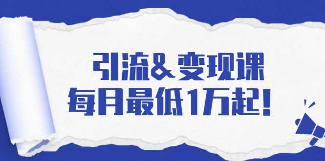 引流&变现课：分享一整套流量方法以及各个渠道收入，每月最低1万起！-冒泡网