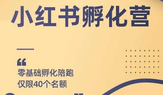 勇哥小红书撸金快速起量项目：教你如何快速起号获得曝光，做到月躺赚在 3000+-冒泡网