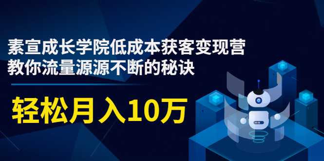 素宣成长学院低成本获客变现营，教你流量源源不断的秘诀，轻松月入10万-冒泡网