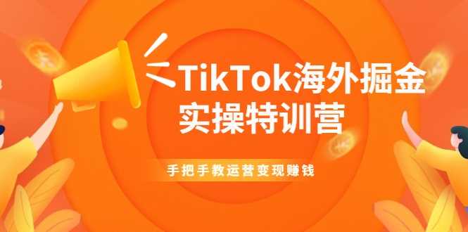 TikTok海外掘金实操特训营：手把手教运营变现赚钱-冒泡网