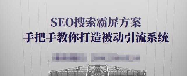 SEO搜索霸屏方案，手把手教你打造被动引流系统【视频课程】-冒泡网