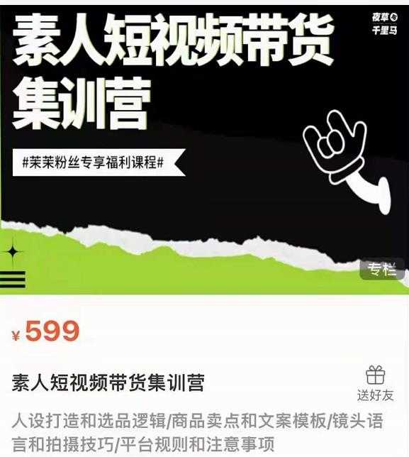 夜草与千里马素人短视频带货集训营，薛辉团队价值599-冒泡网