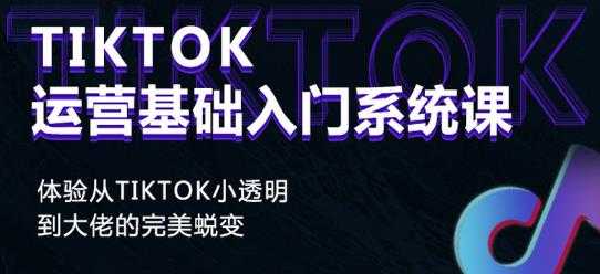 Tiktok实操进阶课程，体验从tiktok小透明到大佬的完美蜕变-冒泡网