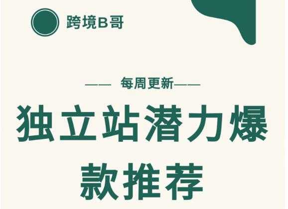 【跨境B哥】独立站潜力爆款选品推荐，测款出单率高达百分之80-冒泡网