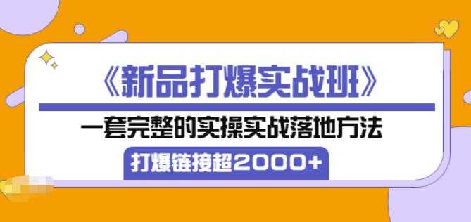 凌童《新品打爆实战班》,一套完整的实操实战落地方法，打爆链接超2000+（28节课)-冒泡网