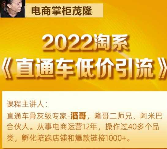 茂隆2022直通车低价引流玩法，教大家如何低投入高回报的直通车玩法-冒泡网