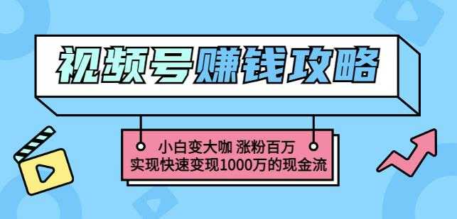 玩转微信视频号赚钱：小白变大咖涨粉百万实现快速变现1000万的现金流-冒泡网