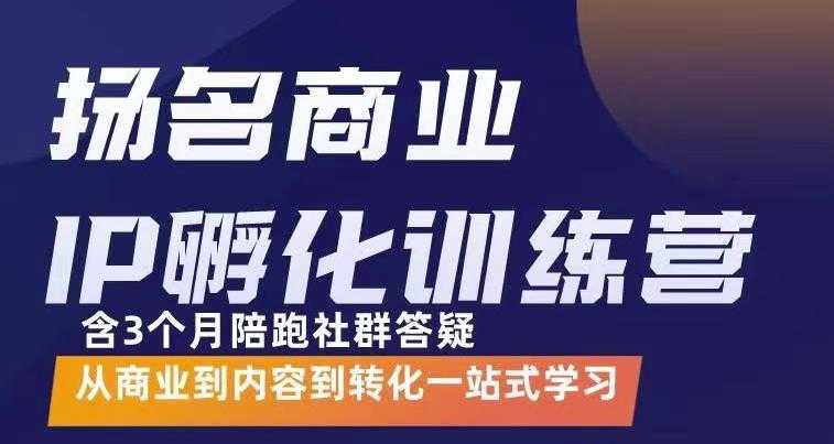 杨名商业IP孵化训练营，从商业到内容到转化一站式学 价值5980元-冒泡网