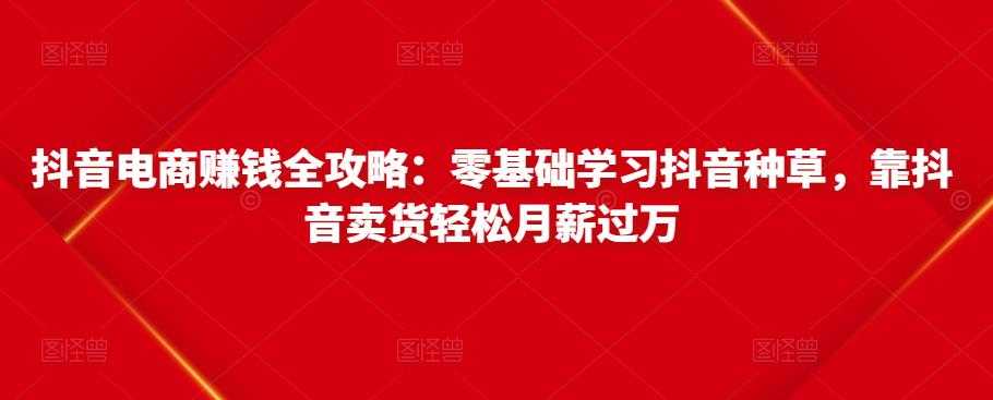 抖音电商赚钱全攻略：零基础学习抖音种草，靠抖音卖货轻松月薪过万-冒泡网