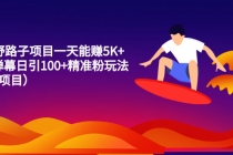 15个野路子项目一天能赚5K+直播弹幕日引100+精准粉玩法-冒泡网