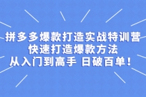 拼多多爆款打造实战特训营：快速打造爆款方法，从入门到高手 日破百单-冒泡网