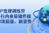 IP变现训练营：N多行内业幕骚作操，教你流搞量，新姿势！-冒泡网