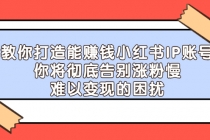 教你打造能赚钱小红书IP账号：你将彻底告别涨粉慢，难以变现的困扰-冒泡网