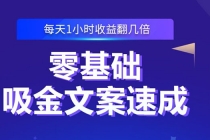 零基础吸金文案速成：小白也可以写出爆款文章，每天一小时收益翻几倍-冒泡网