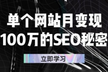 单个网站月变现100万的SEO秘密：如何百分百做出赚钱站点-冒泡网