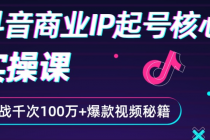 抖音爆款商业IP起号核心实操课：带你玩转算法，流量，内容，架构，变现-冒泡网