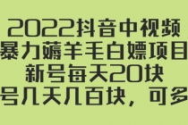 2022抖音中视频暴力薅羊毛白嫖项目：新号每天20块，老号几天几百块，可多号-冒泡网