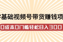 零基础视频号带货赚钱项目，0成本0门槛轻松日入300+【视频教程】-冒泡网