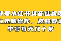 视频号小红书抖音挂机项目，小白无脑操作，按照要求来，单号每天几十米-冒泡网