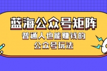 蓝海公众号矩阵：普通人也能赚钱的公众号玩法，月入过N万-冒泡网