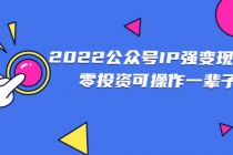 2022公众号IP强变现项目，零投资可操作一辈子-冒泡网