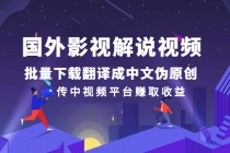 国外影视解说视频，批量下载翻译成中文伪原创，传中视频平台赚取收益-冒泡网