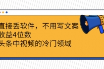 直接丢软件，不用写文案，收益4位数头条中视频的冷门领域-冒泡网