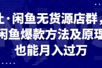 闲鱼无货源店群，掌握闲鱼爆款方法快速出单，轻松月入10000+-冒泡网