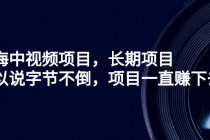 蓝海中视频项目，长期项目，可以说字节不倒，项目一直赚下去！-冒泡网