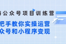 蓝海公众号项目训练营，手把手教你实操运营公众号和小程序变现-冒泡网