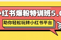 小红书爆粉特训班5.0，助你轻松玩转小红书平台价值1380元-冒泡网