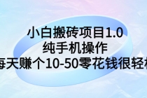 小白搬砖项目1.0，纯手机操作，每天赚个10-50零花钱很轻松-冒泡网