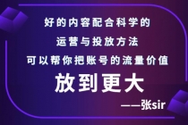 张sir账号流量增长课，告别海王流量，让你的流量更精准-冒泡网