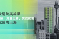 TikTok进阶实战课：账号详解，流量运营，实战变现，助力你成功出海-冒泡网