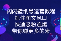 闪闪壁纸号运营教程，抓住图文风口，快速吸粉连爆，带你赚更多的米-冒泡网